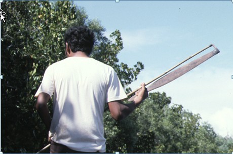 Australian Aboriginal spear fishing from the shore. : r